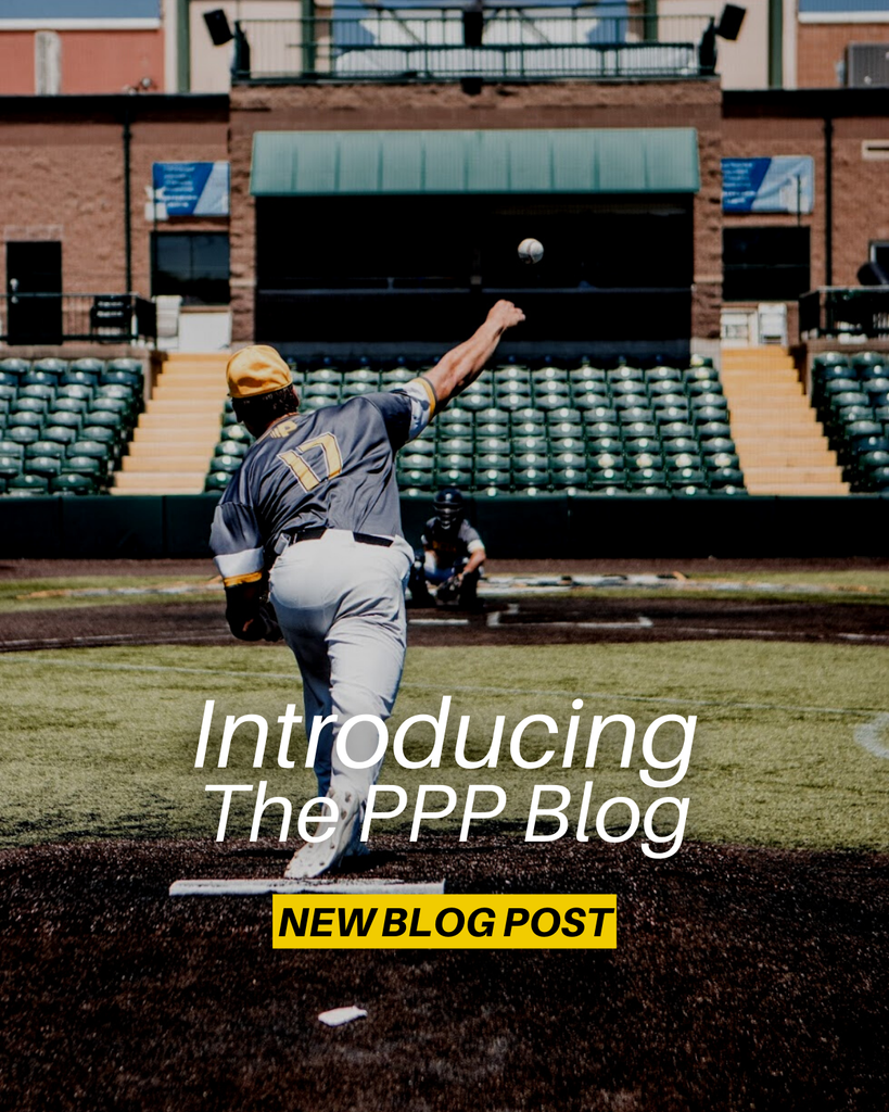 Introducing the PPP Blog