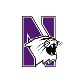 Northwestern University