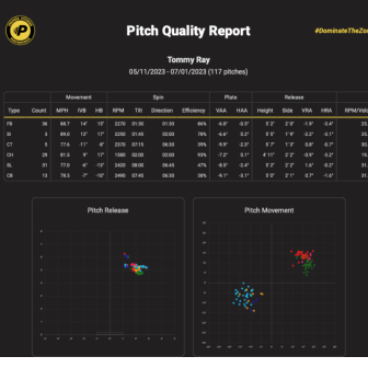 Pitch quality reports